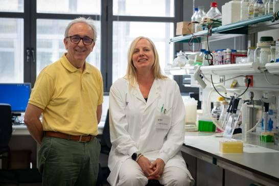 Neuritis 1 grasa marrón activa y protege contra la obesidad
