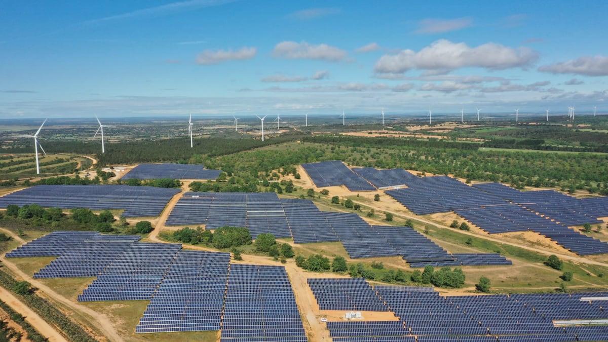 Solararia agrega y continúa a la bolsa de valores: sus títulos duran 22% en tres...