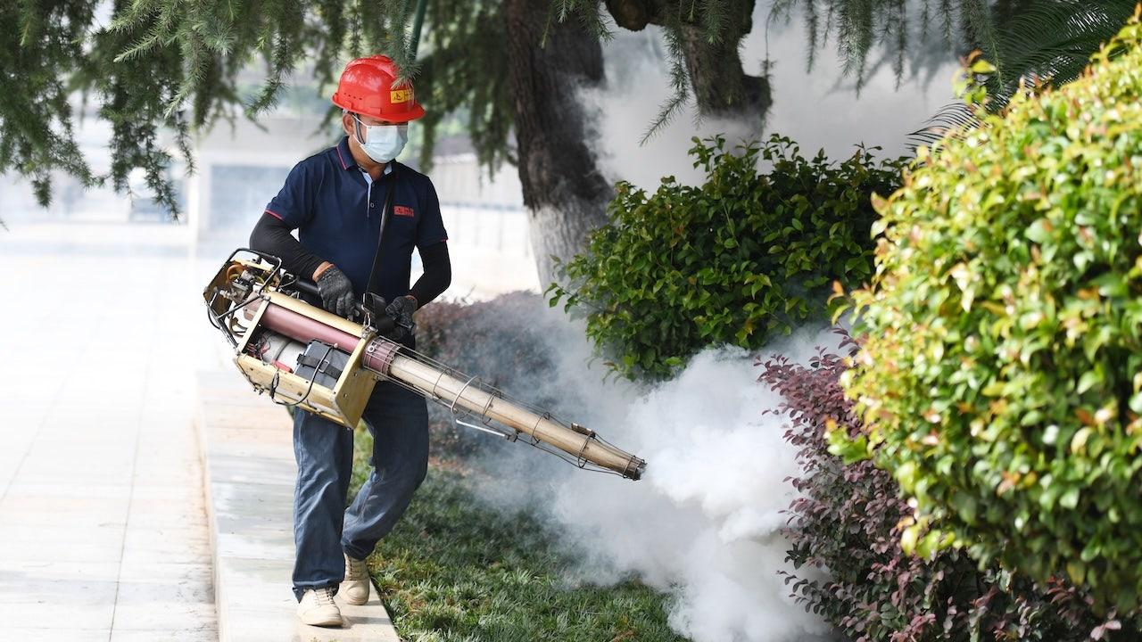 CDC warns about the deadly threats of the Chikungunya virus to travel Americans ...