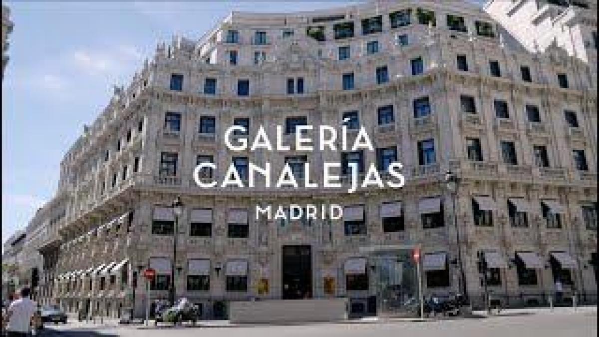 OHLA and the Israel Fund agree to share the assets of the Mohandas Canalejas Gallery