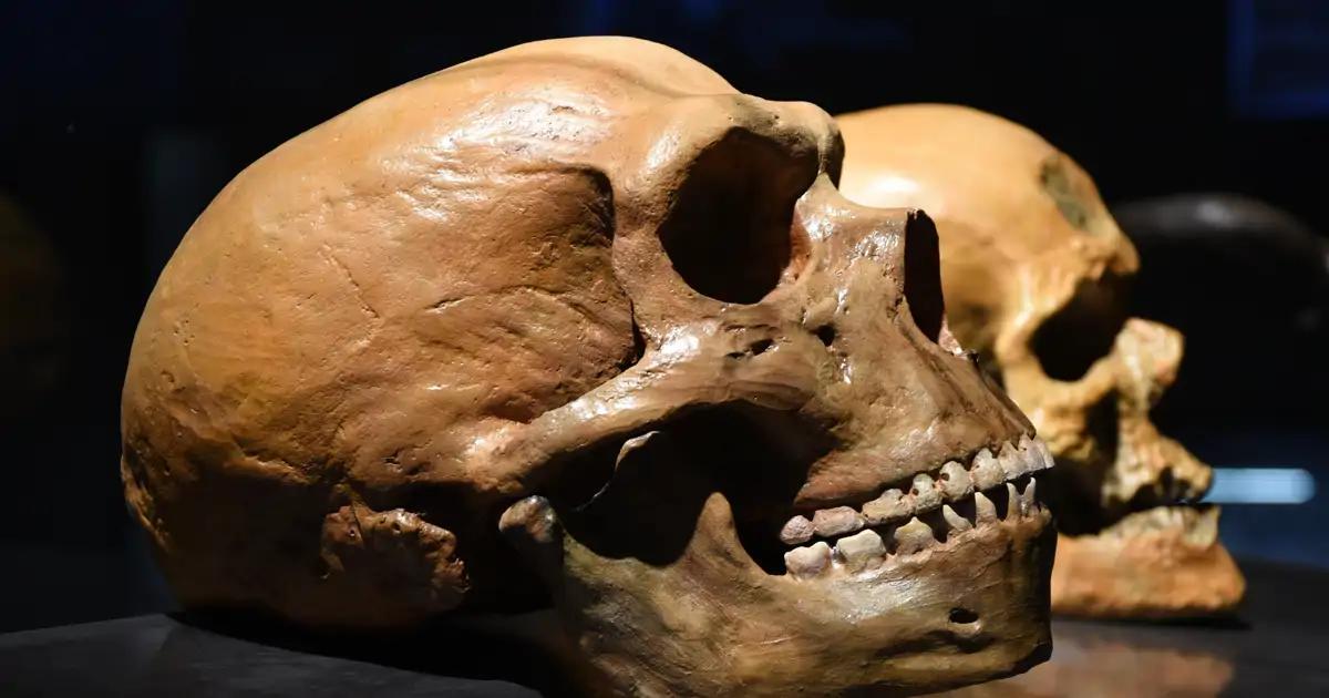 A Pasanaon no le importa la nueva evolución: los neandertales ORRA abandonados