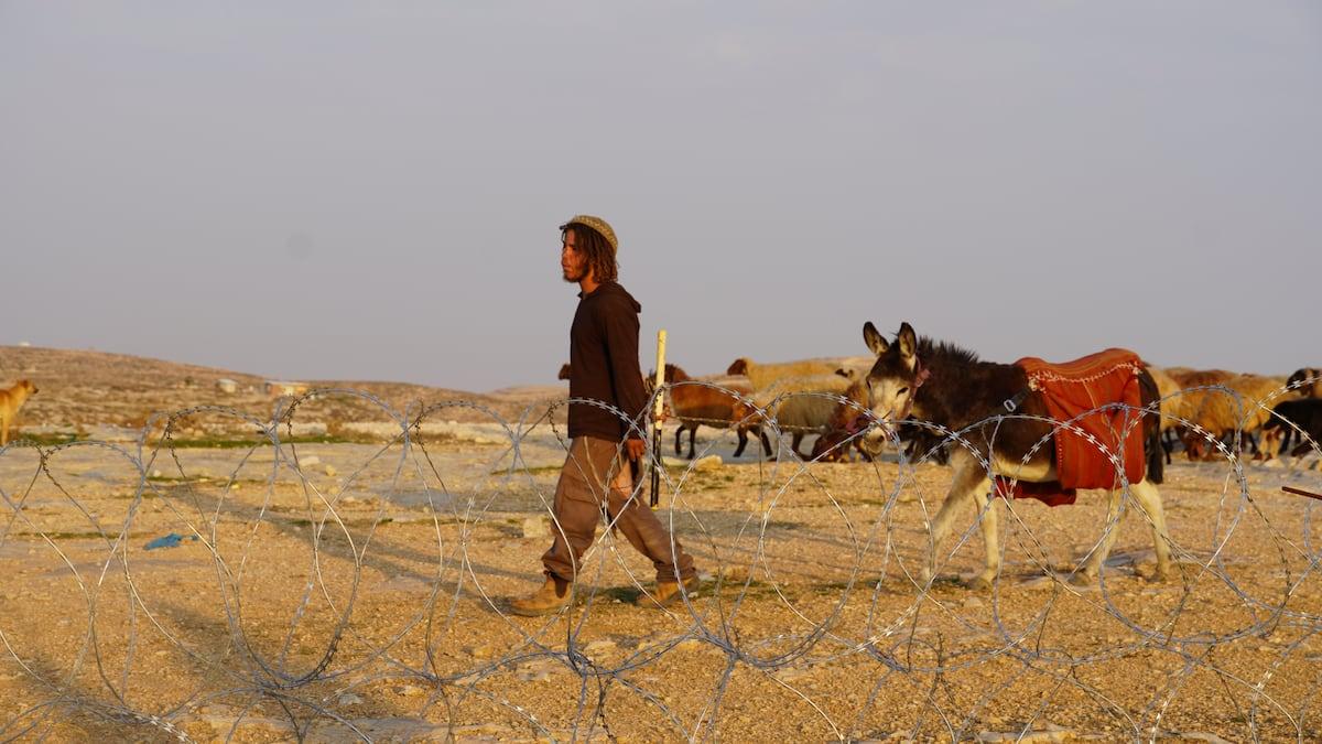 Beatings, fires and thefts: violence by Israeli settlers reaches unprecedented levels in the West Ba...