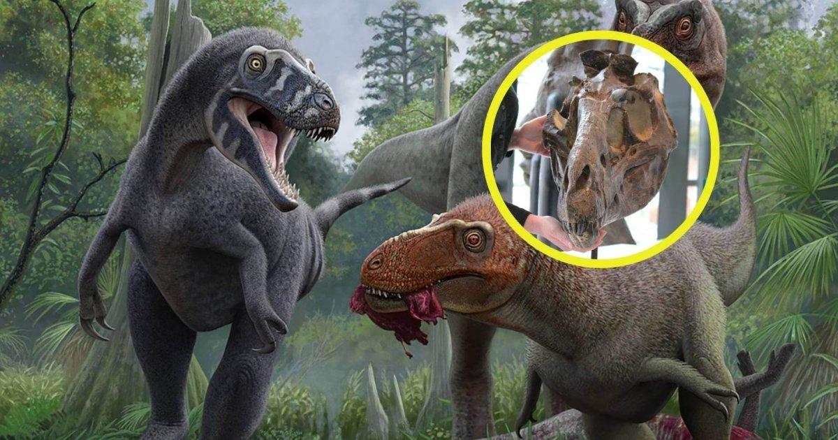 This fossil has puzzled paleontologists for decades: New analysis shows this specimen is not a young...