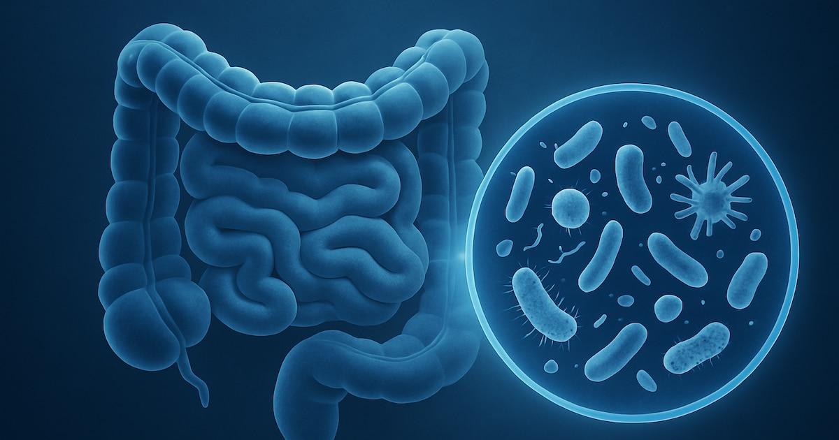 The gut microbiome influences digestion and overall health: the key to strengthening it -