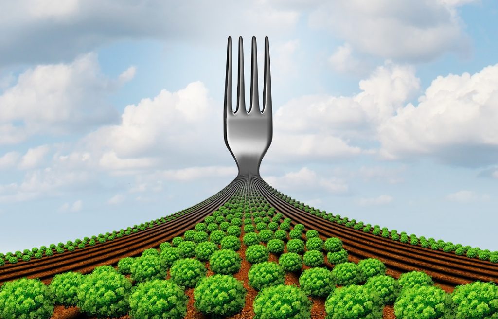 Examinando el movimiento alimentario sostenible desde la granja hasta la mesa 